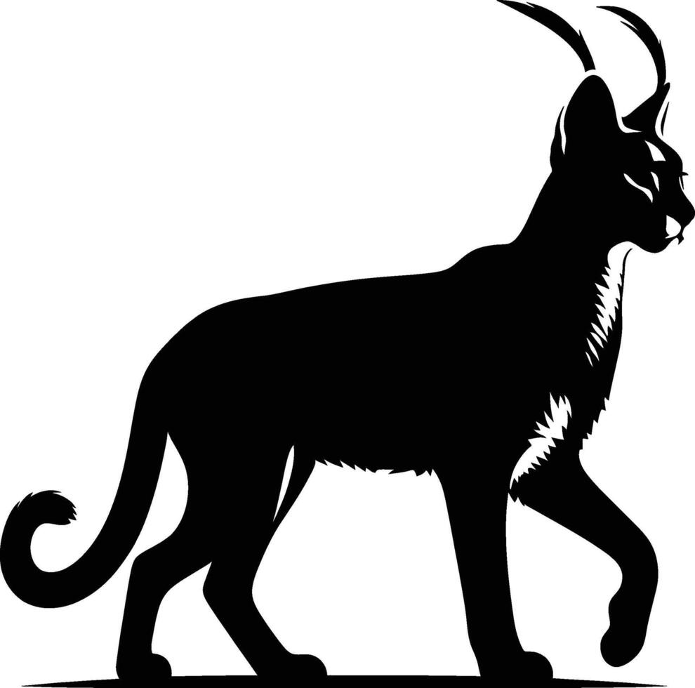 Caracal Silhouette Standing with Head Raised on White vector