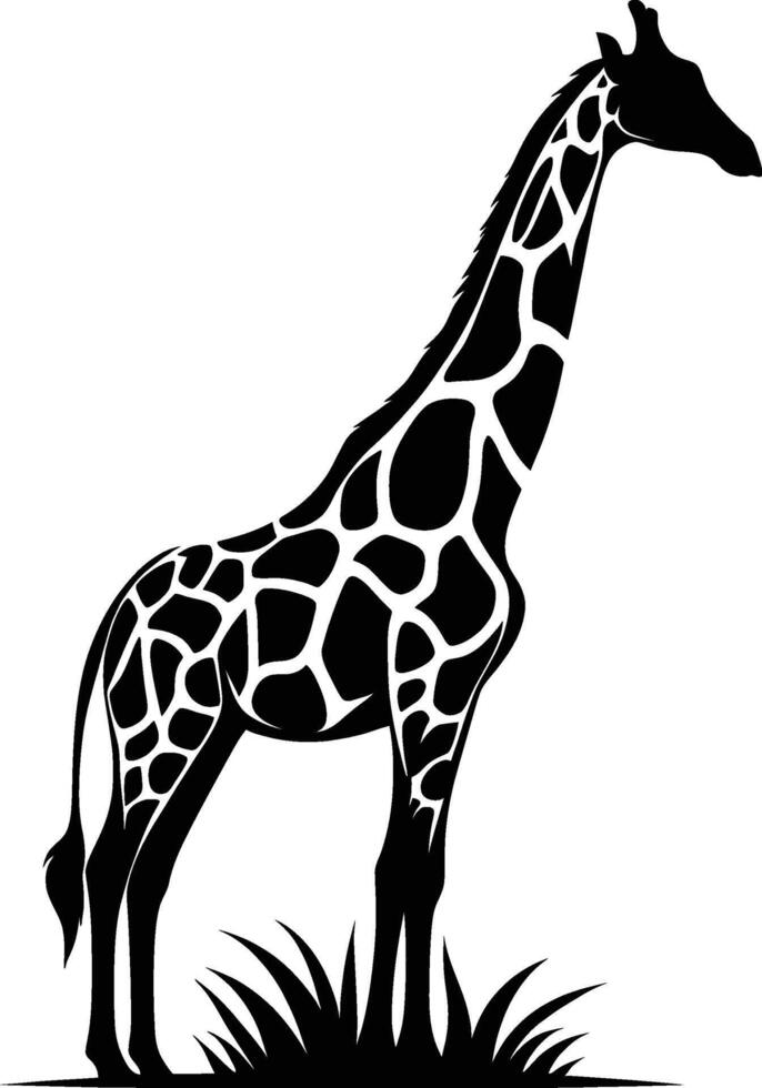 Elegant Giraffe Silhouette on a Bright White Background vector