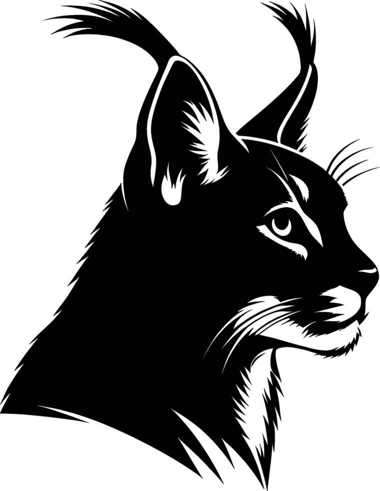 Caracal Silhouette in Profile on Clean White vector