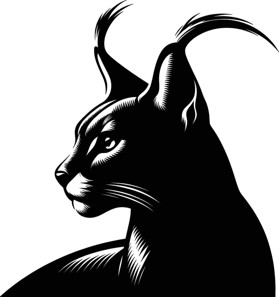 Caracal Silhouette in Natural Stance on White Background vector