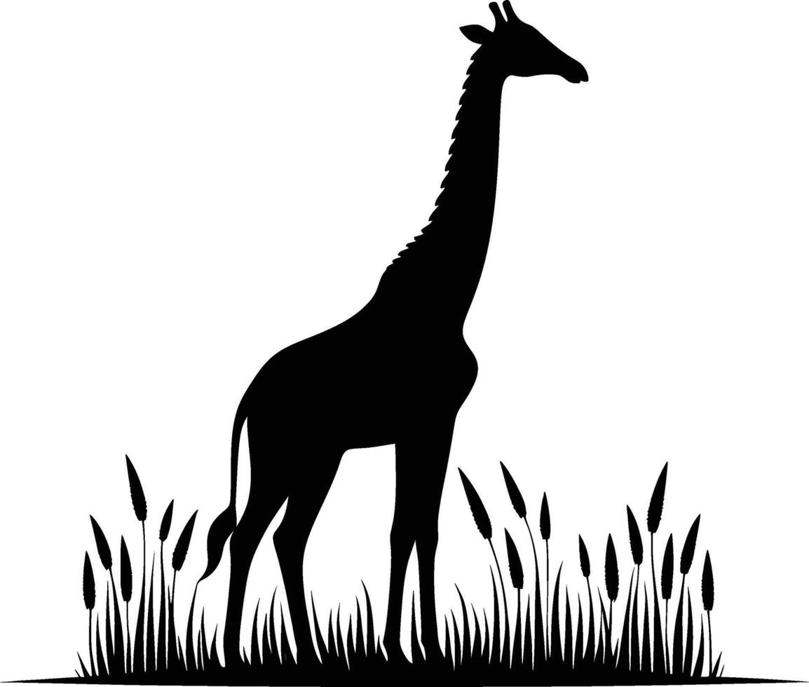 Majestic Giraffe Silhouette in Profile on White Background vector