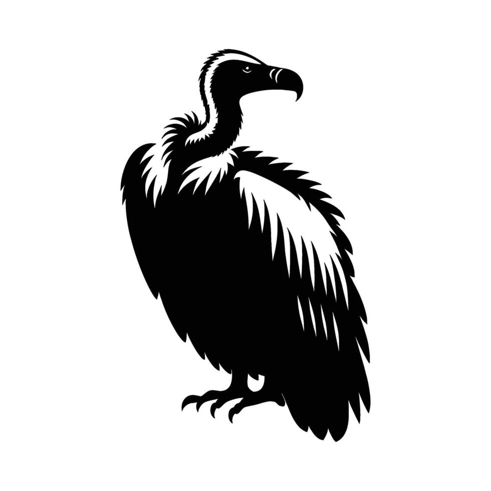 Striking Vulture Shadow on a Crisp White Background vector