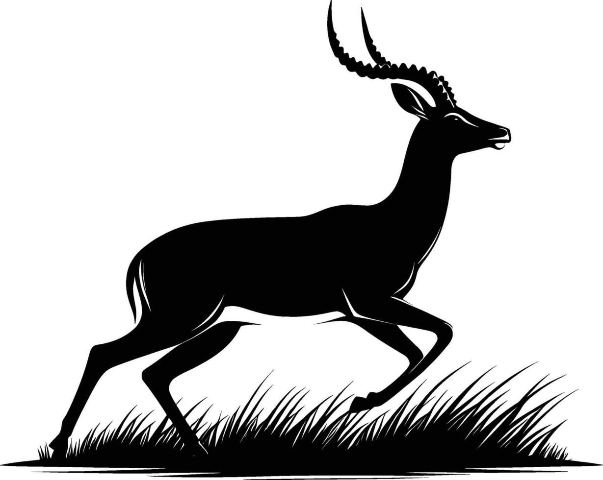 Impala Silhouette in Grazing Stance on White Background vector