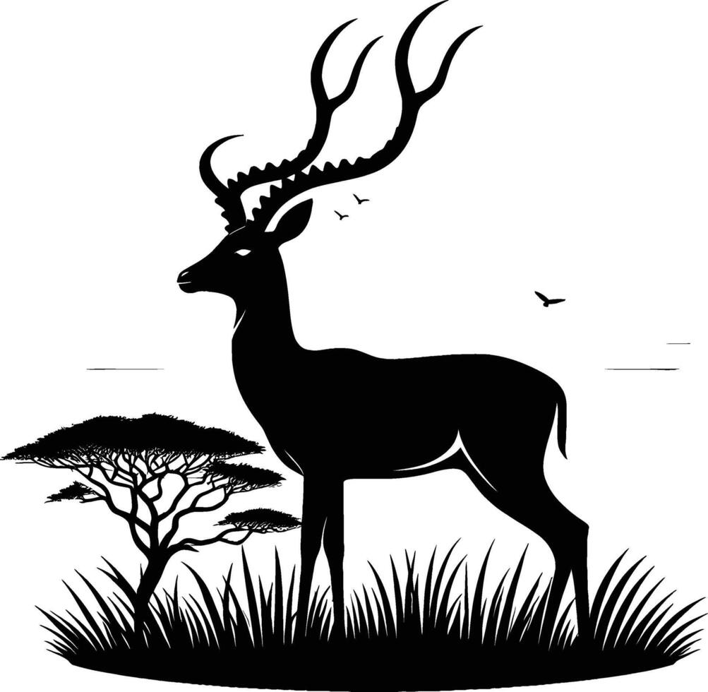 Impala Silhouette with Defined Horns on White Background vector