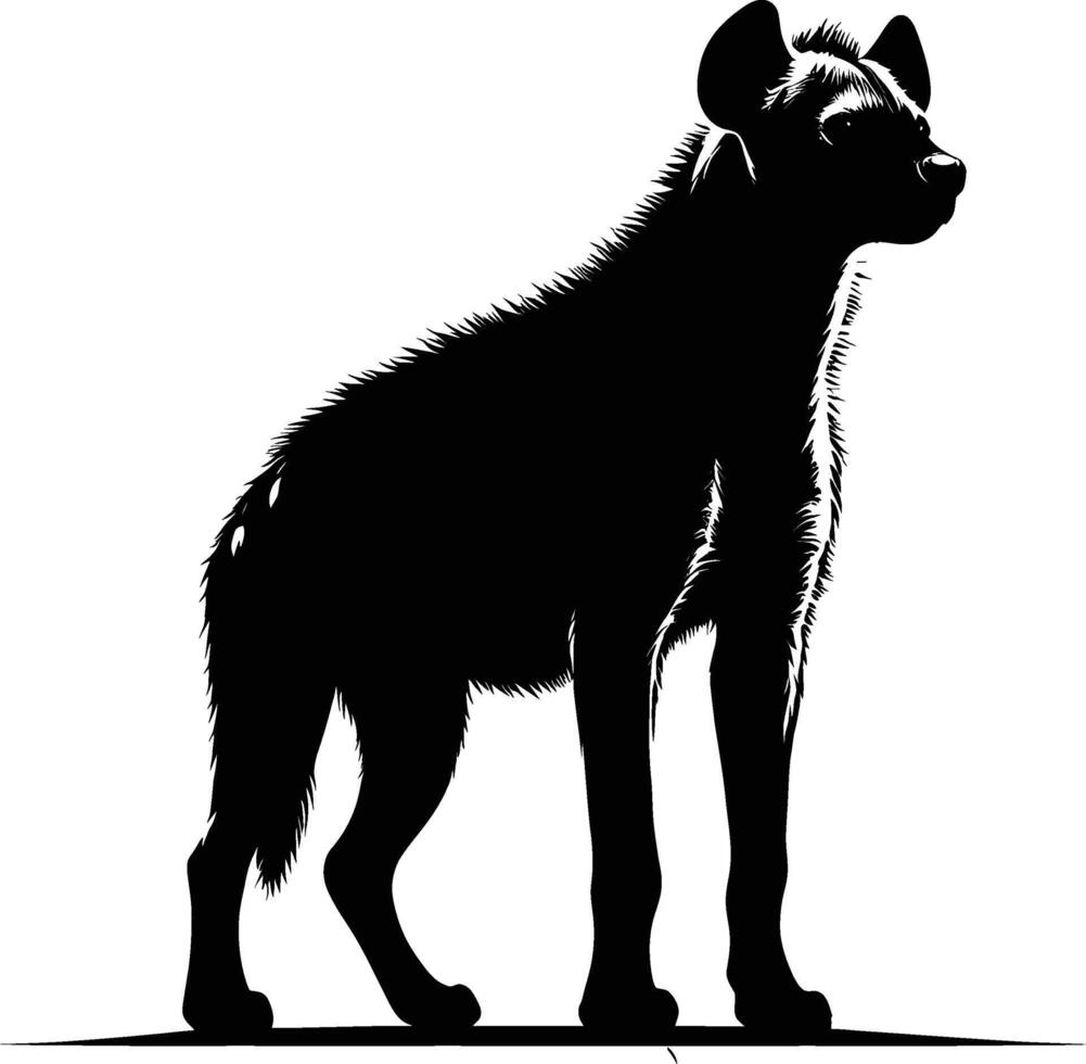 Detailed Hyena Silhouette with Raised Head on White Background vector