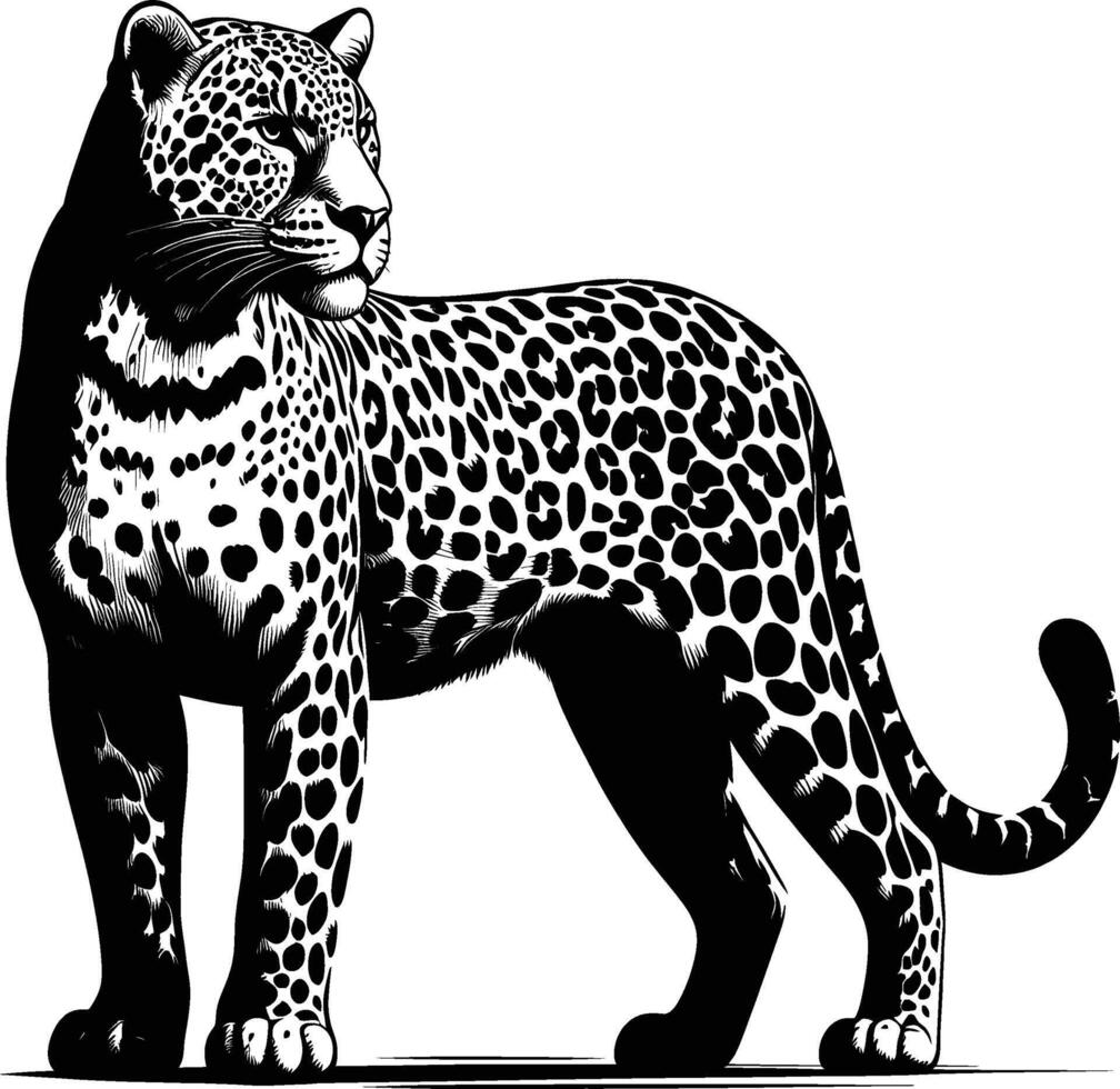 Leopard Profile Silhouette on Bright White Background vector