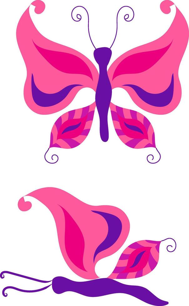Butterfly with open wings and closed wings. illustration isolated on white background. vector