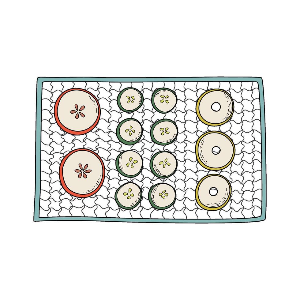 Sliced fruit and vegetables drying on metal grid rack. Dehydrated food preparation process. Home canning concept. Hand drawn doodle style illustration. vector