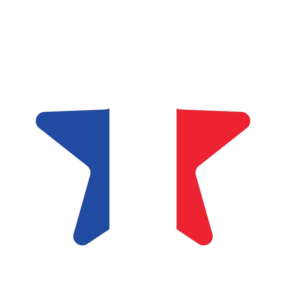 Star element in colors of French flag vector