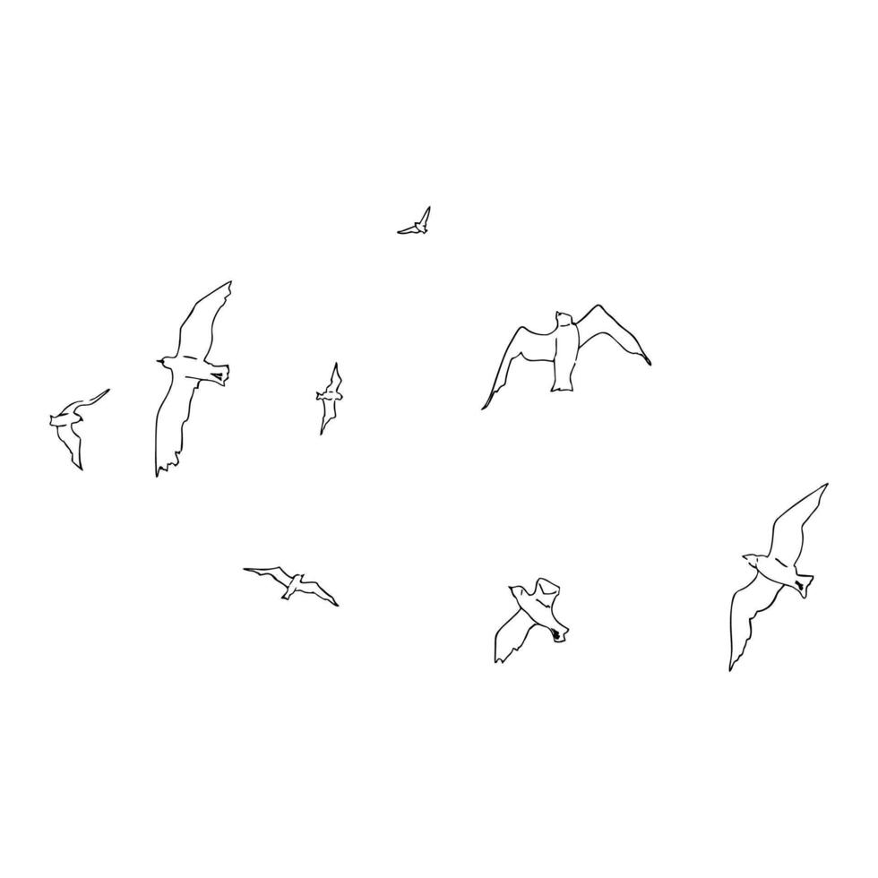 Birds fly in a row vector