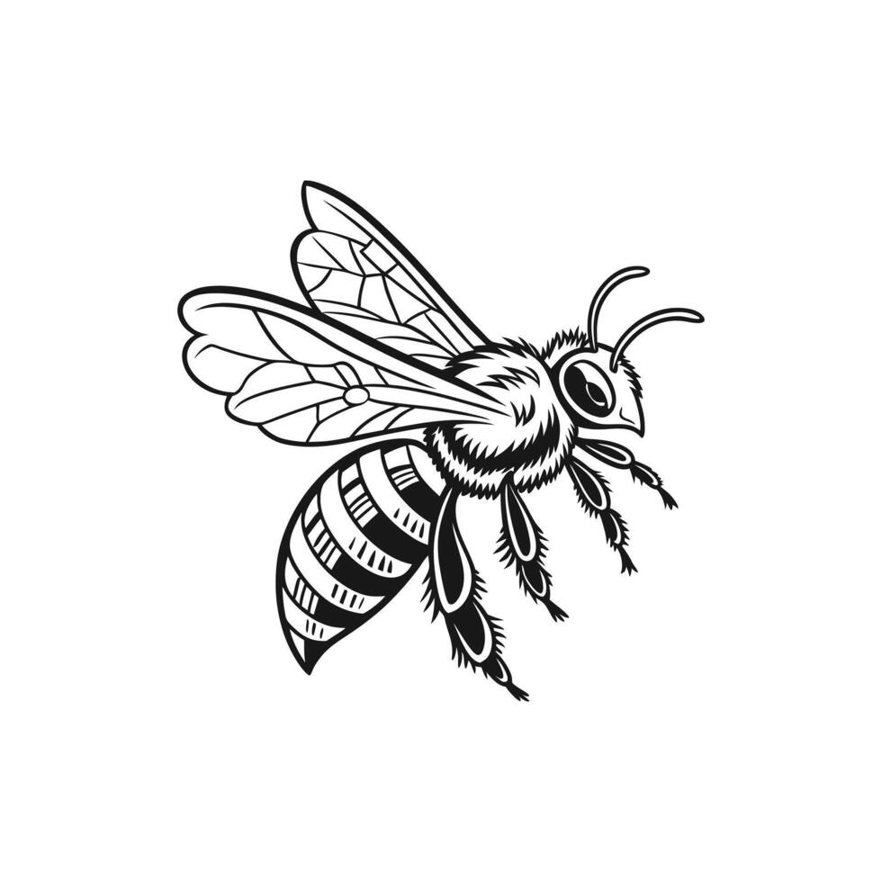 A black and white drawing of a unique bee vector