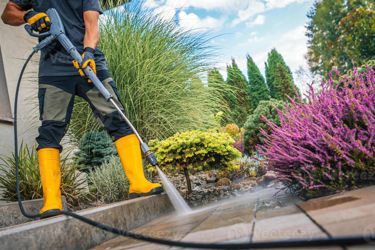 Person Using a Pressure Washer to Clean a Garden Path Surrounded by Vibrant Shrubs and Plants photo