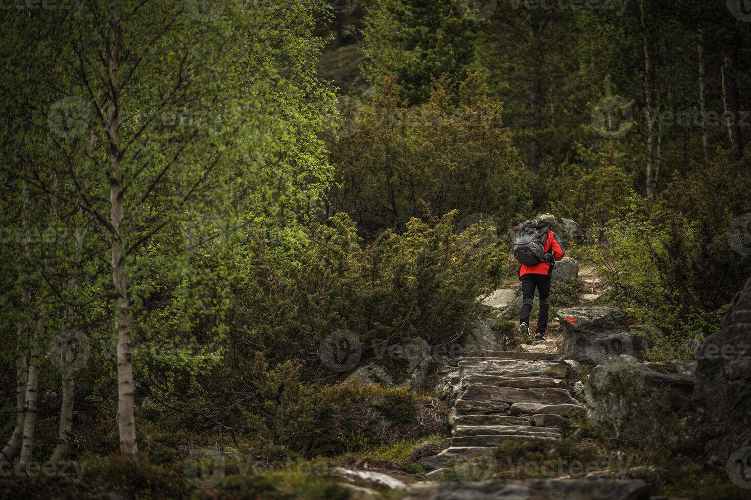 A Hiker Wearing Red Climbs a Stone Path Surrounded by Lush Greenery in a Serene Forest Setting photo
