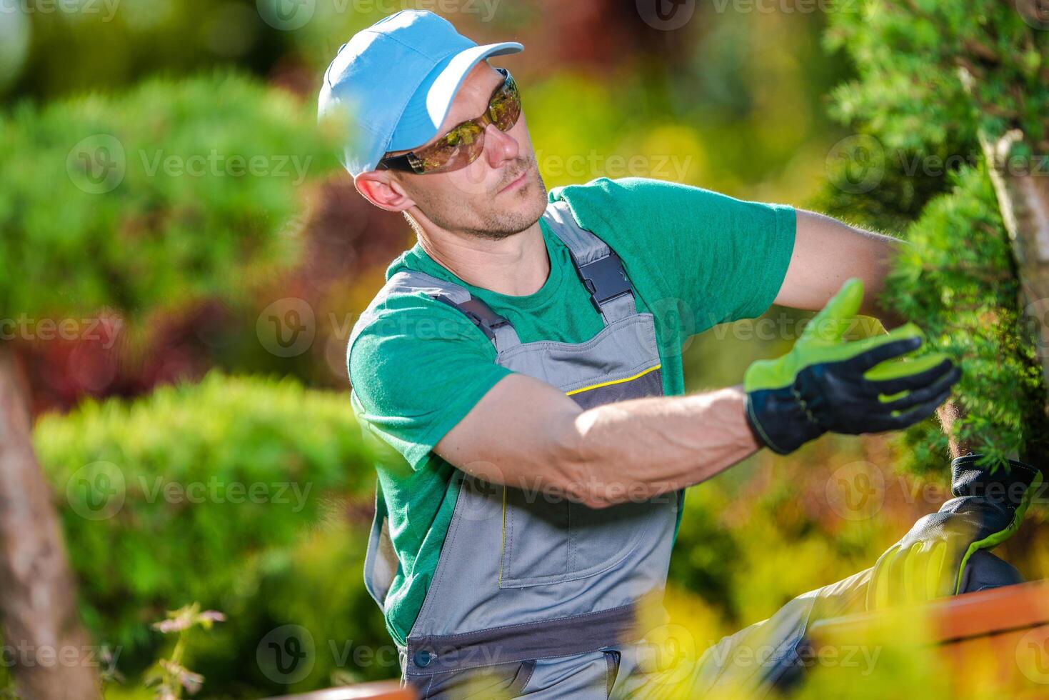 Gardener Maintaining Lush Greenery in a Sunny Garden During the Early Afternoon Hours photo