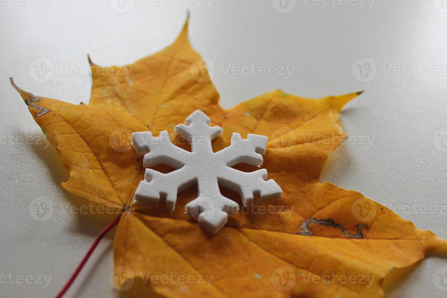 Symbols of Winter and Autumn. Snowflake Cut Out of Plastic on a Real Yellow Maple Leaf photo
