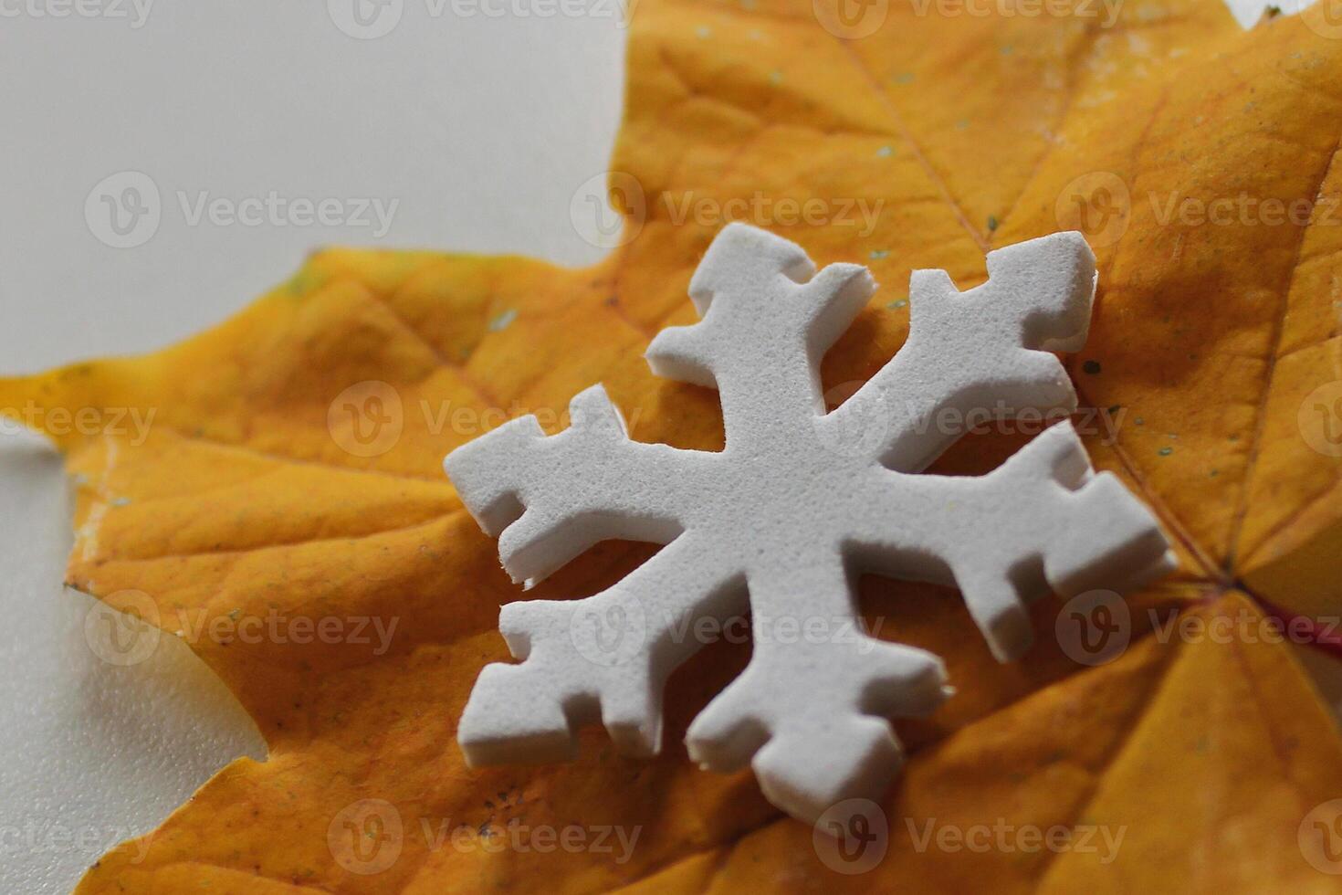 Close Up Stock Image Of Artificial Snowflake On Dry Maple Leaf. Signs Of Different Seasons photo