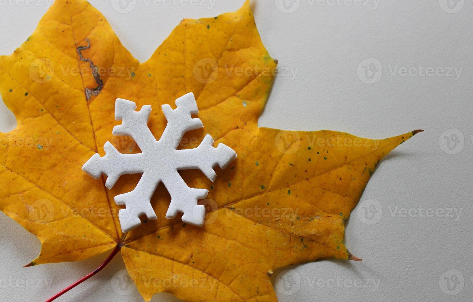 Flat 3D Printed Snowflake Lies On An Autumn Fallen Leaf. Winter Against Autumn Concept Image photo