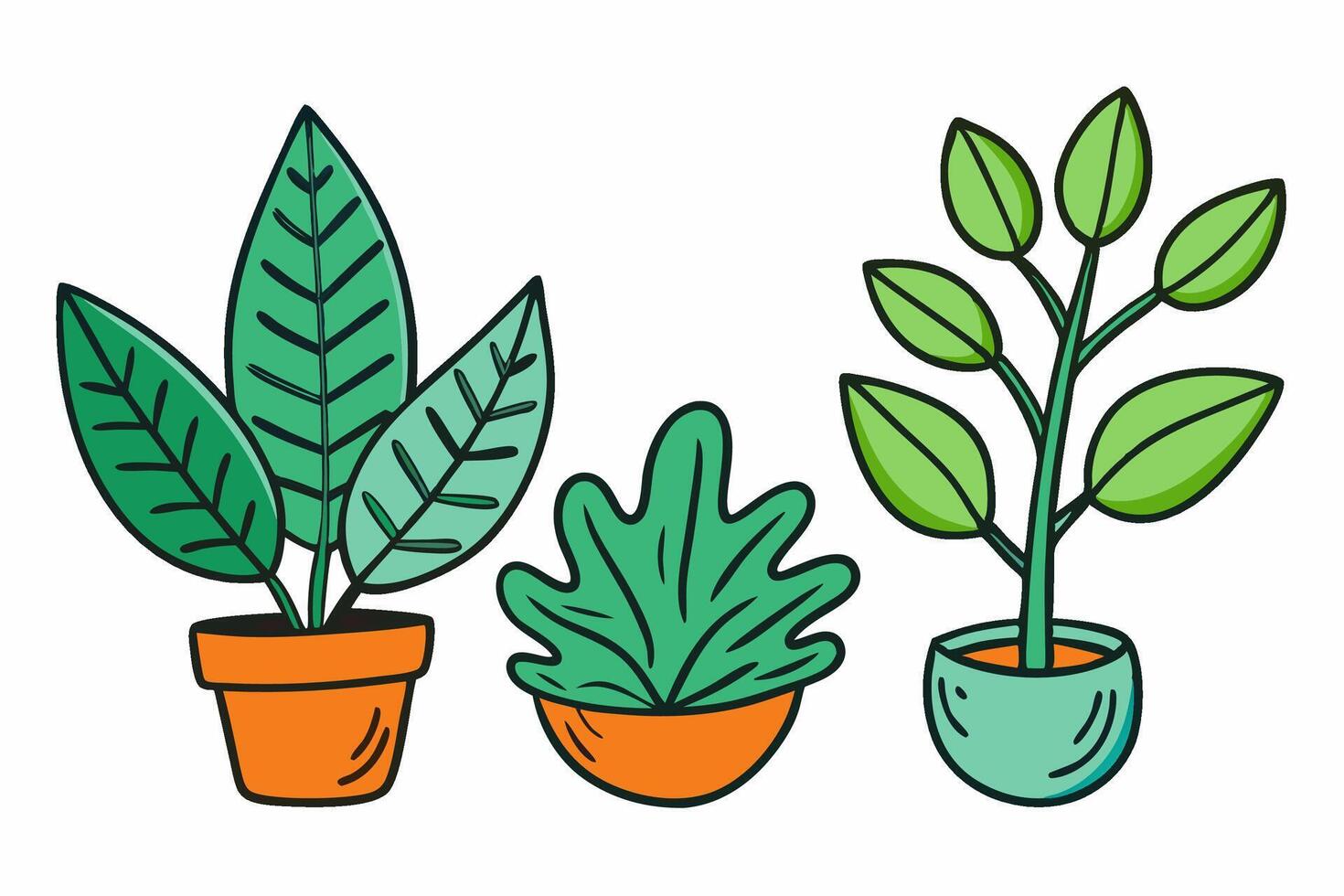 Three different types of house plants in pots vector