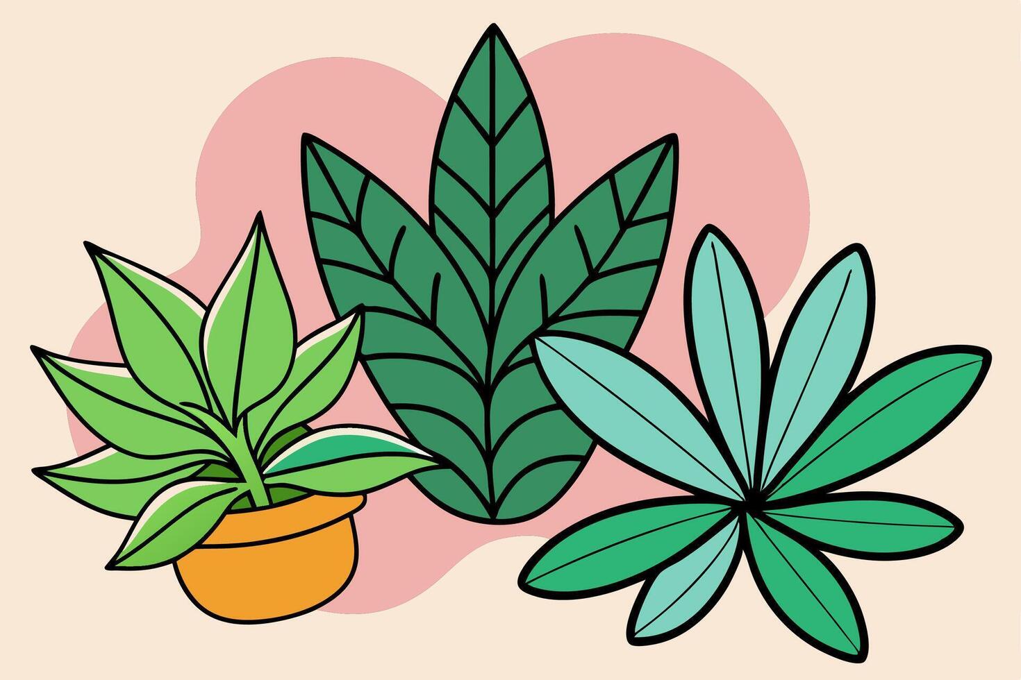 Illustration of house plants vector