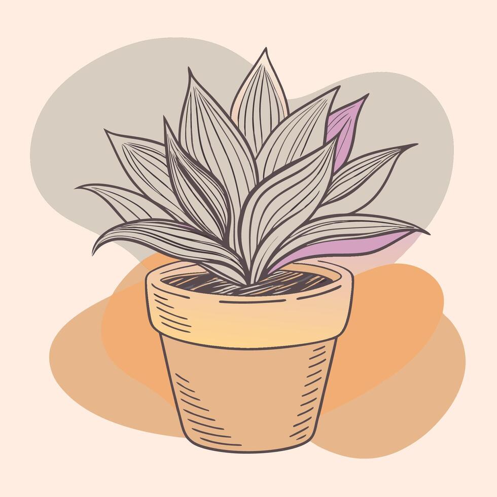 A potted plant with purple leaves on a beige background vector