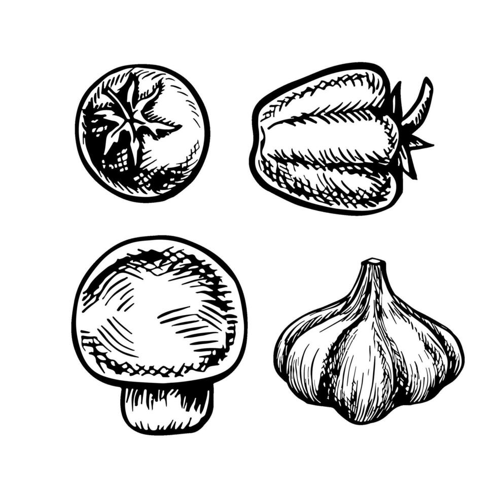 A set of vegetables, peppers, tomatoes, and garlic. graphics. Black and white hand-drawn illustration. On a white background. For menus, posters or labels. For cooking recipes and packages. vector