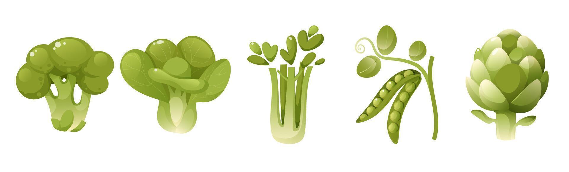 Green Vegetables and Salads Set, Fresh Leafy Vegetables, Broccoli, Cauliflower, Artichoke, Green Peas, Celery. Healthy Organic Food, Vegetarianism, Green Gardener's Harvest, Greens. vector