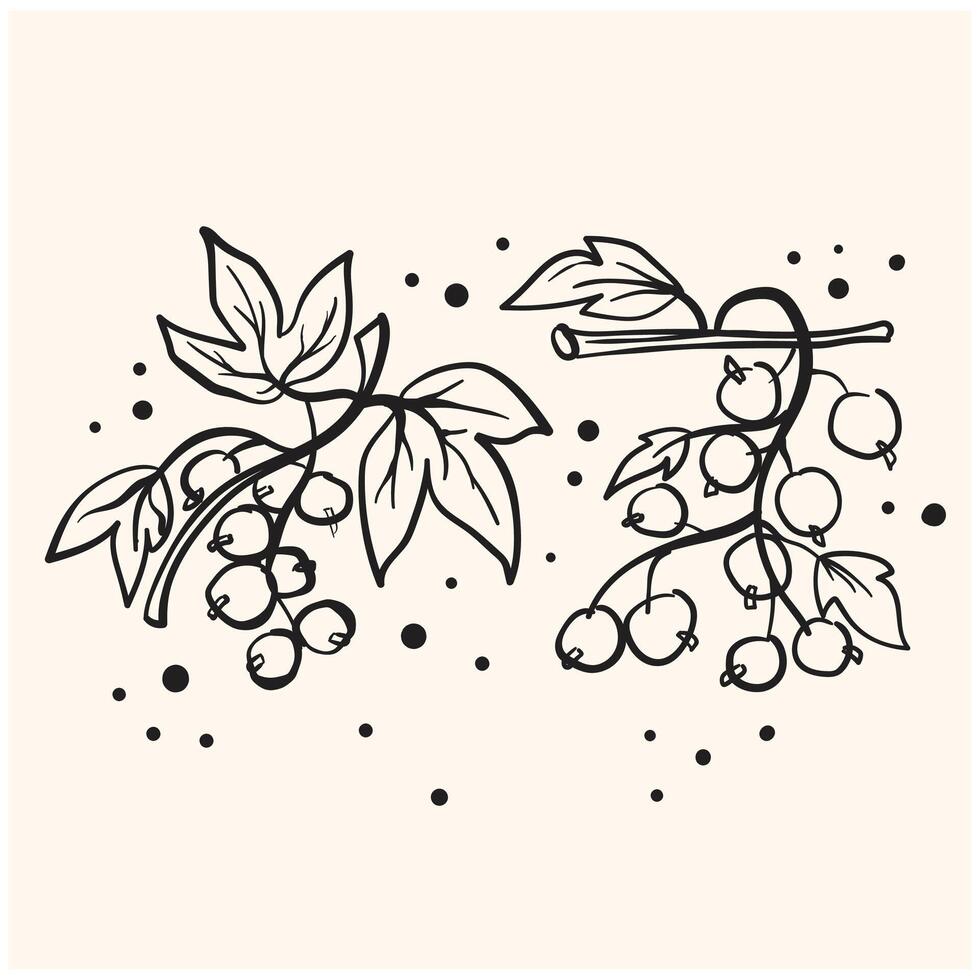 Black currants With illustration style doodle and line art vector