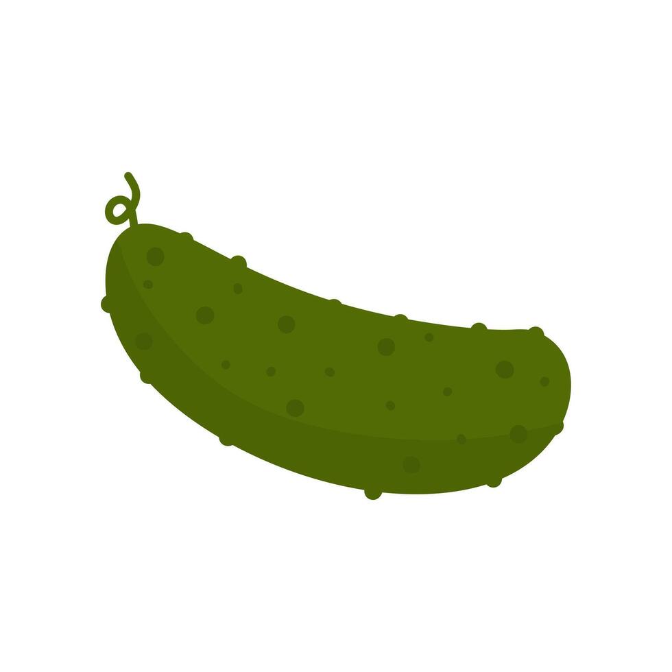 Fresh Cucumber Vegetable Illustration Isolated On White Background vector