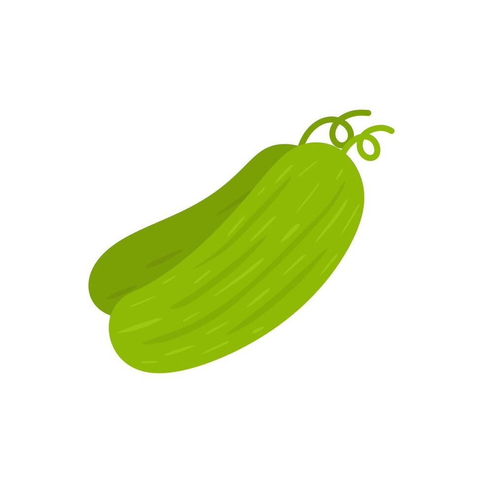 Cucumber in cartoon style on a white background. vector