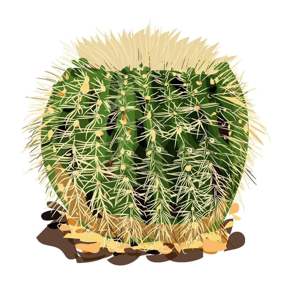 hand drawing cactus illustration vector