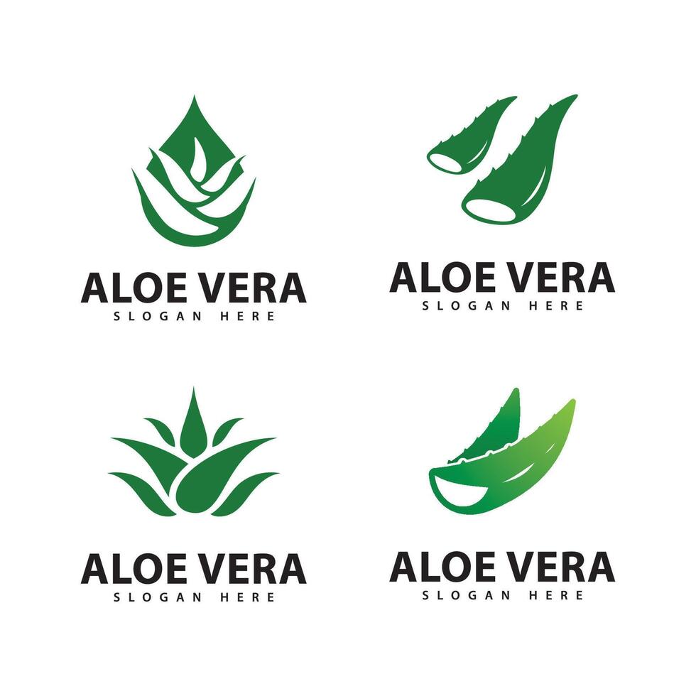 Aloe Vera Logo Design Template vector