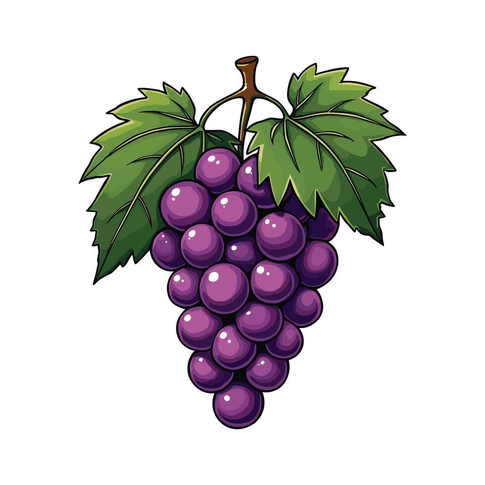 Grape Illustration . Purple Fruit with Leaf in Cartoon Style vector