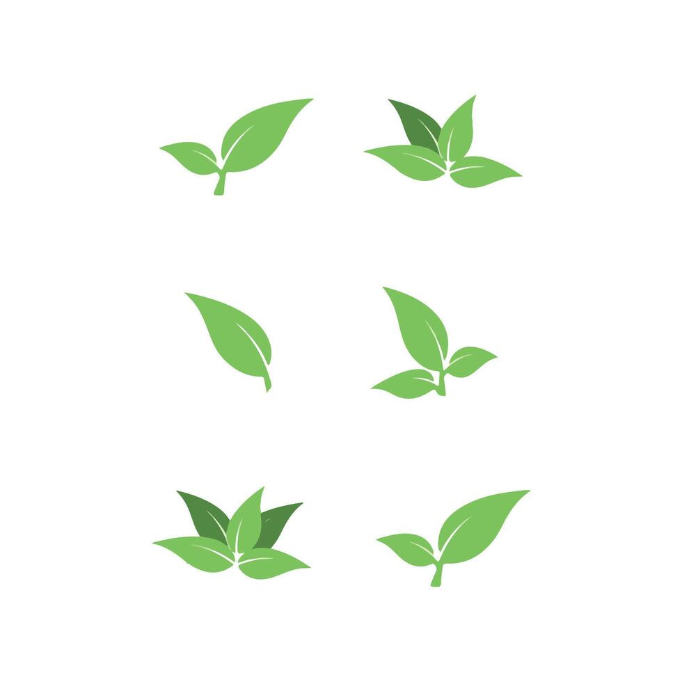 A collection of green leaves and leaves from the plant free download vector