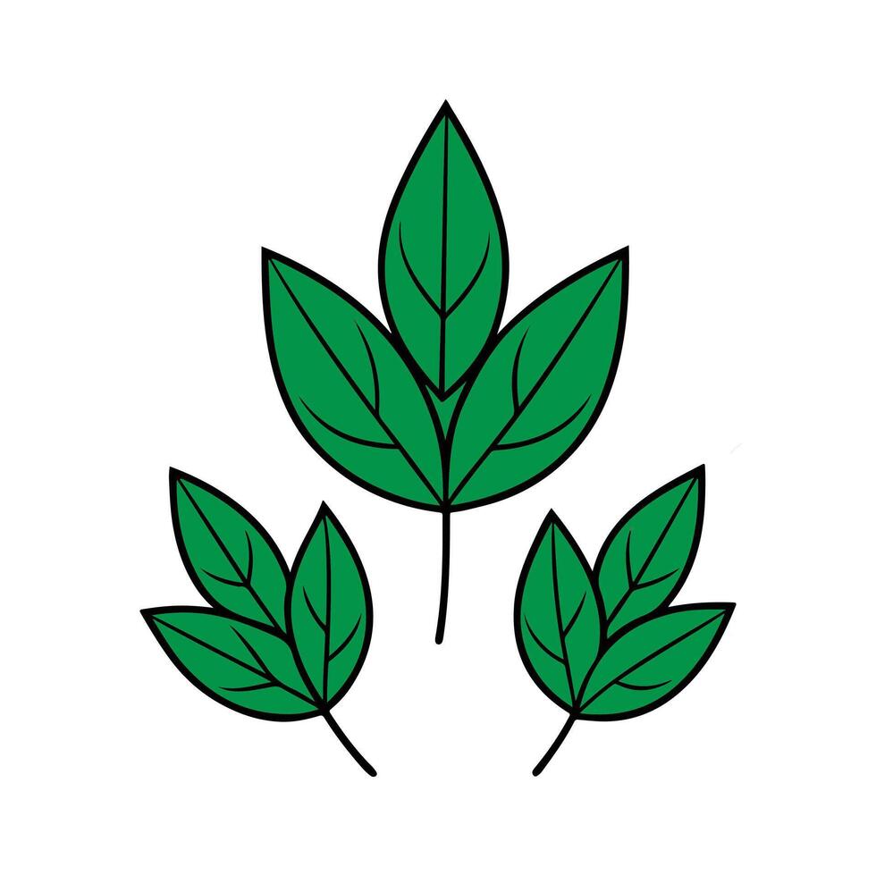 A set of green leaves and leaves free download vector