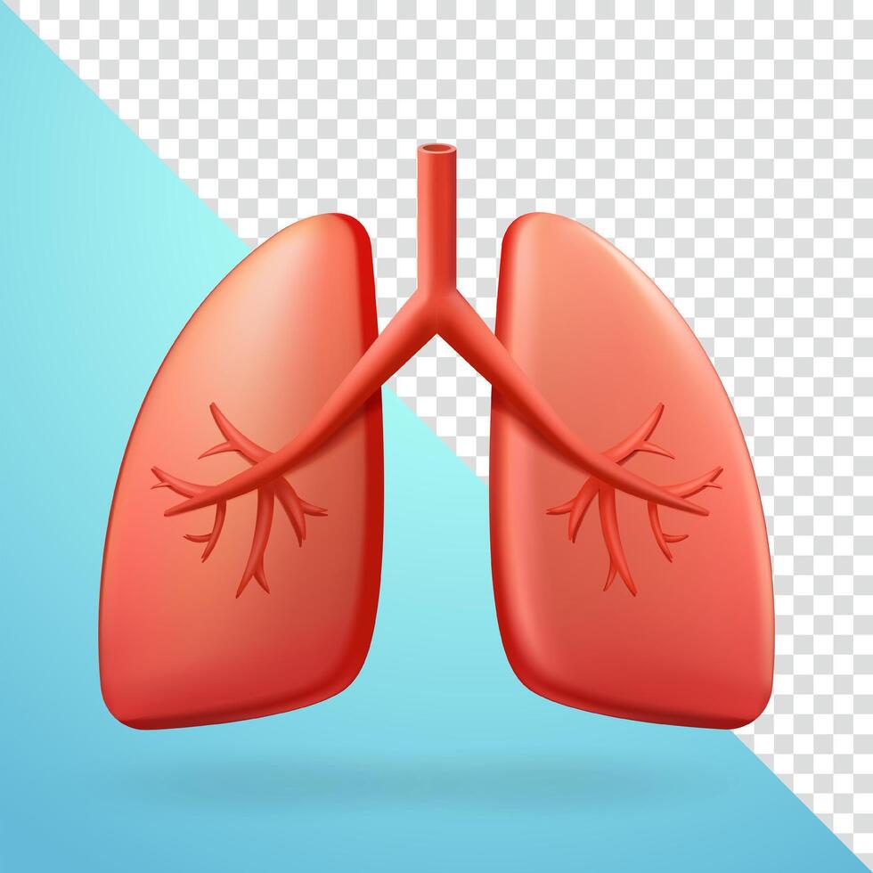 Lungs, 3d elements vector