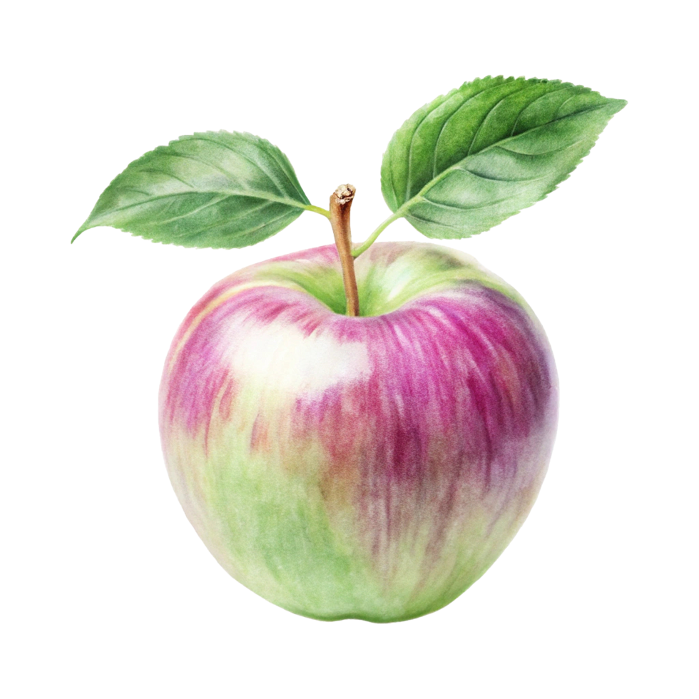 Watercolor apple with green leaf png