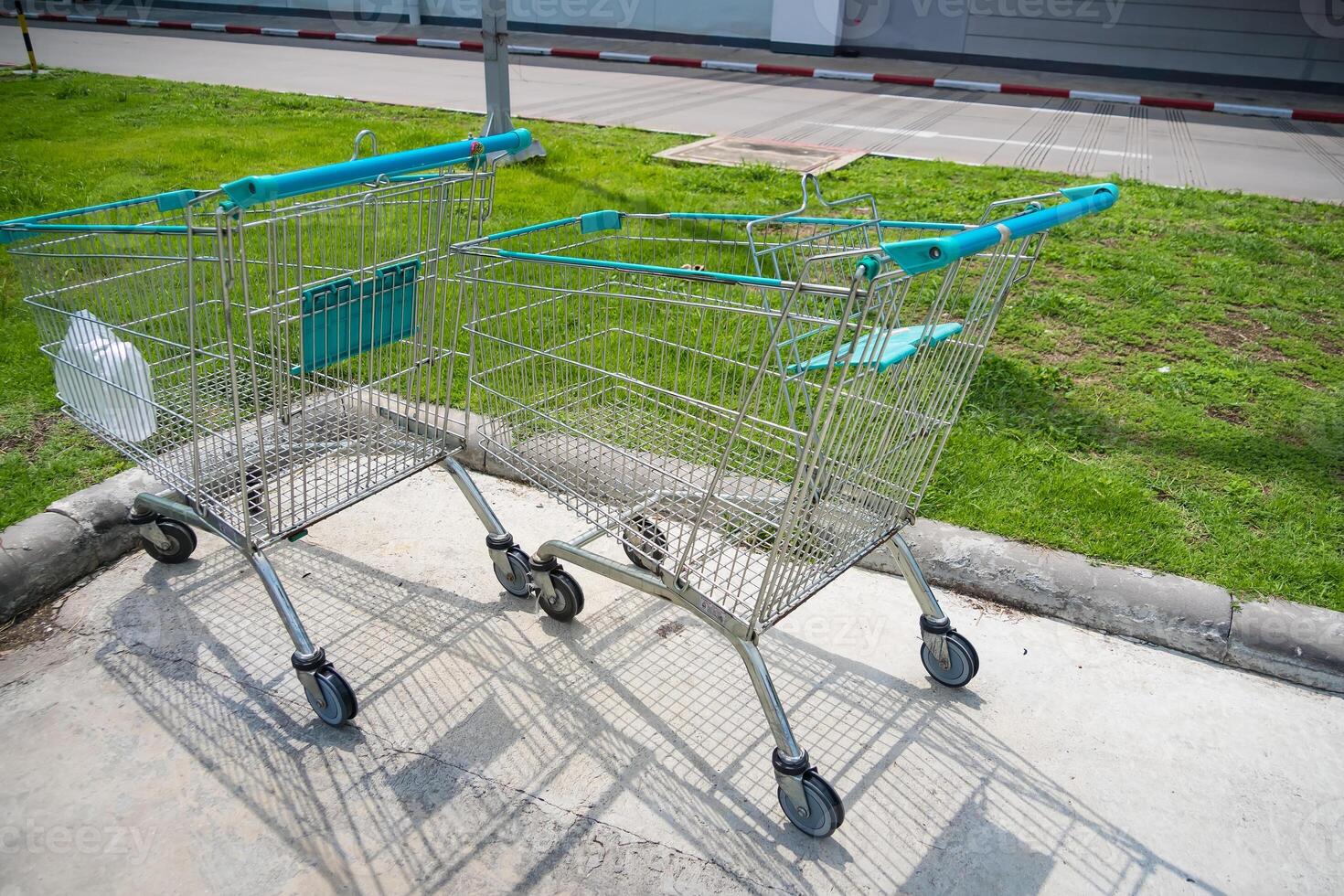 Shopping Carts on a Sunny Day photo