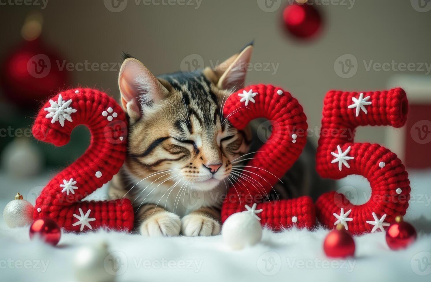 Adorable cat and knitted festive numbers 2025. Happy new year photo