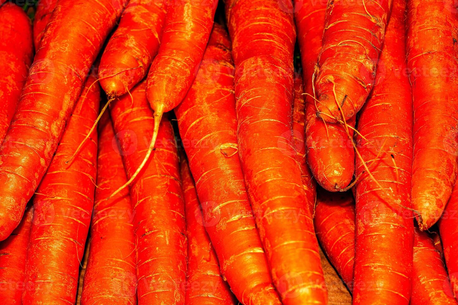 Fresh carrot on the background. The concept of proper nutrition. photo