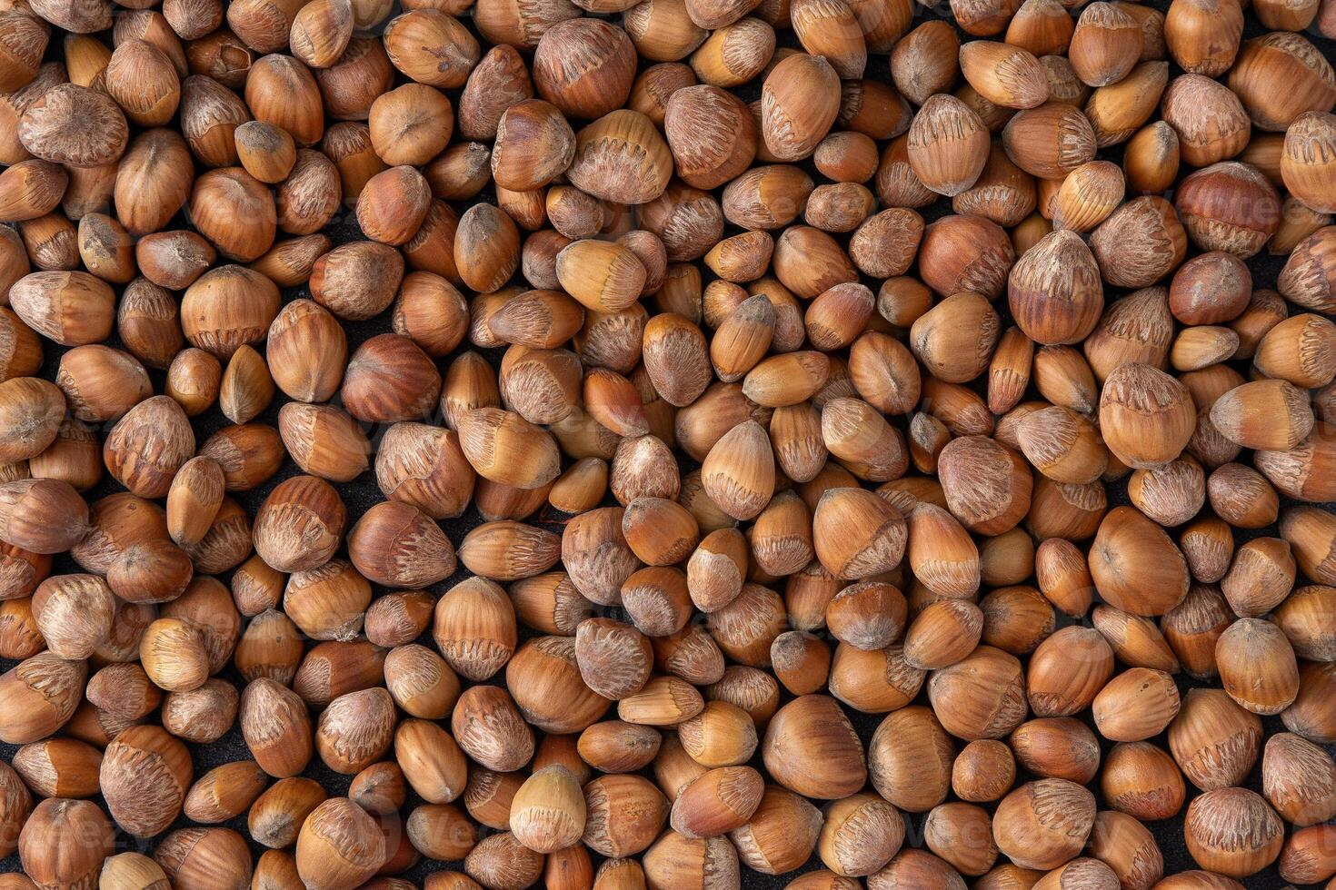 Nuts background. Hazelnut food photo