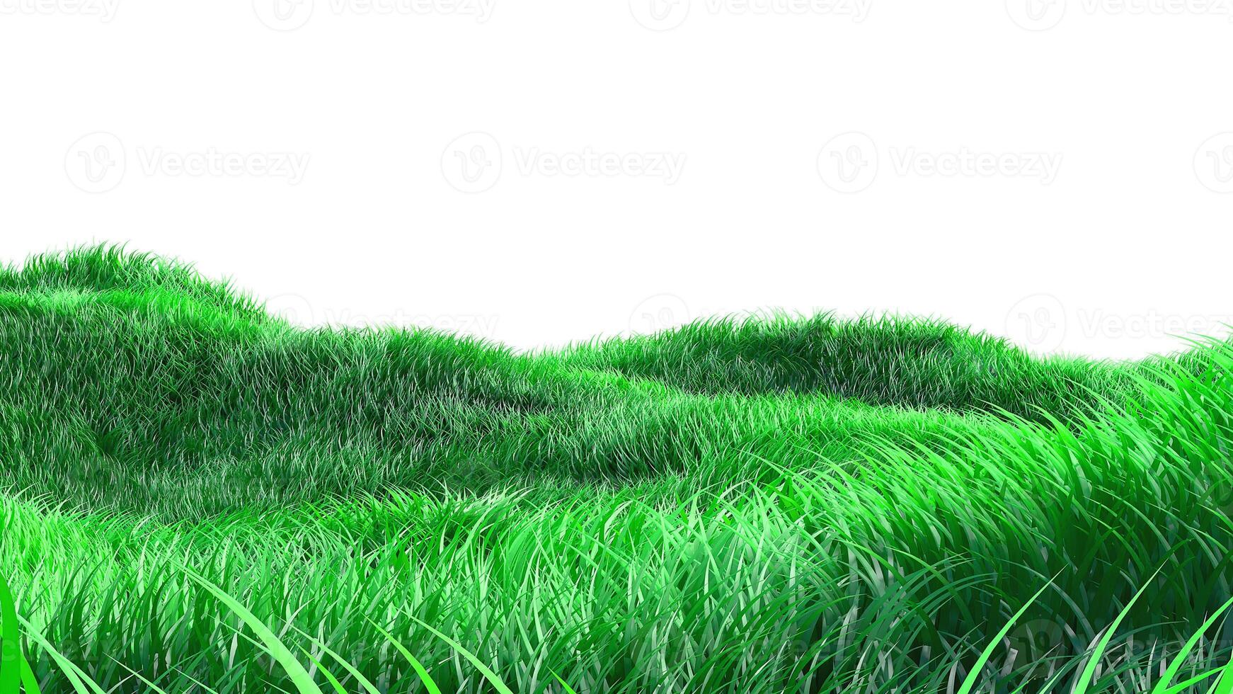 Vibrant hills with green lawn grass photo