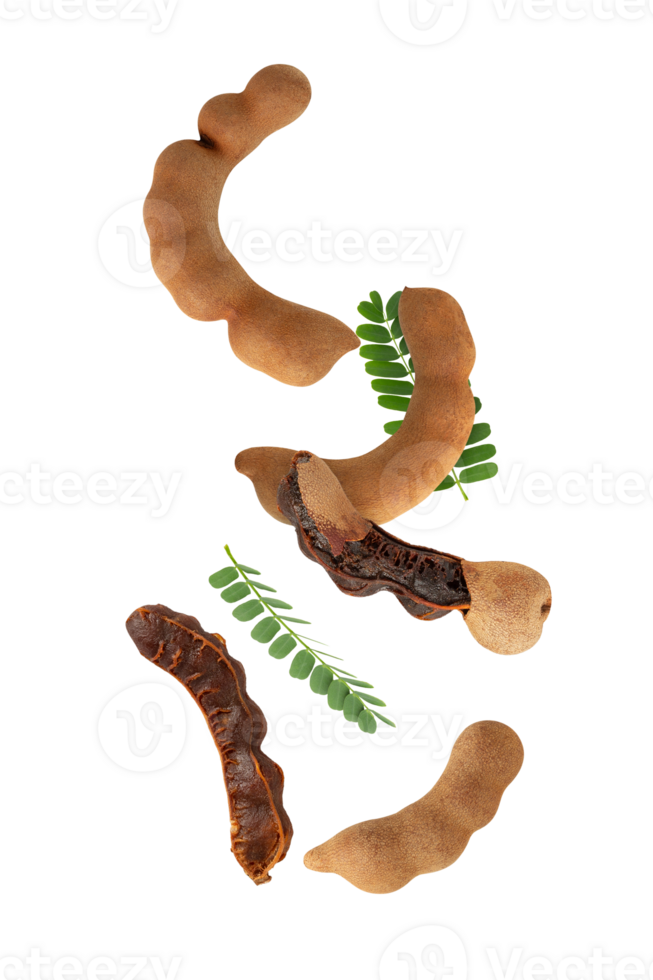 Falling Sweet Tamarind, cutout, full depth of field png