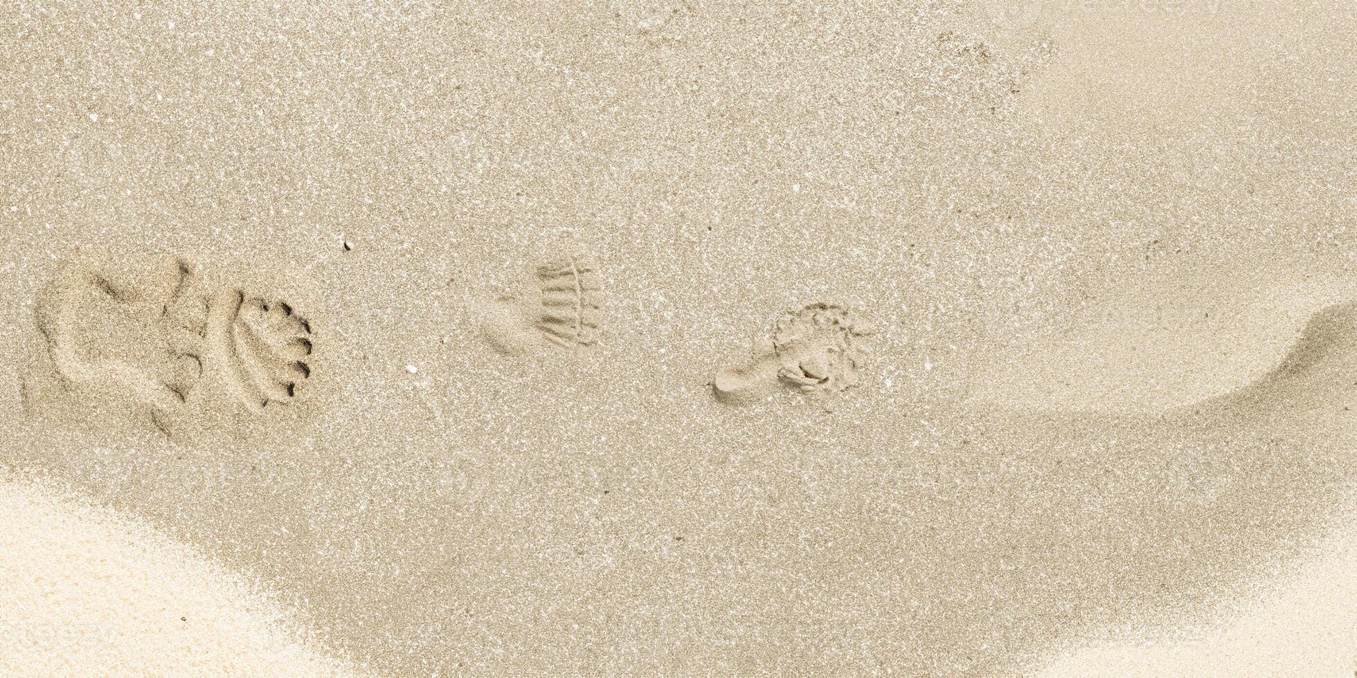 Close-up of a light beige sand texture, ideal as a natural background or surface pattern. photo