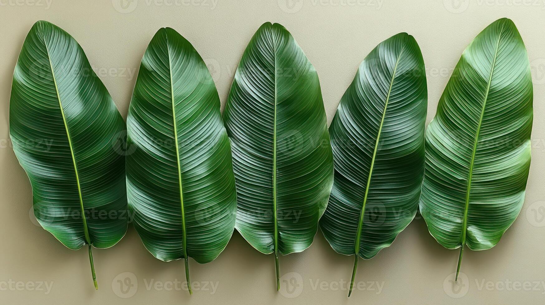 Vibrant leaves laid out beautifully on a soft, neutral surface create a serene atmosphere photo