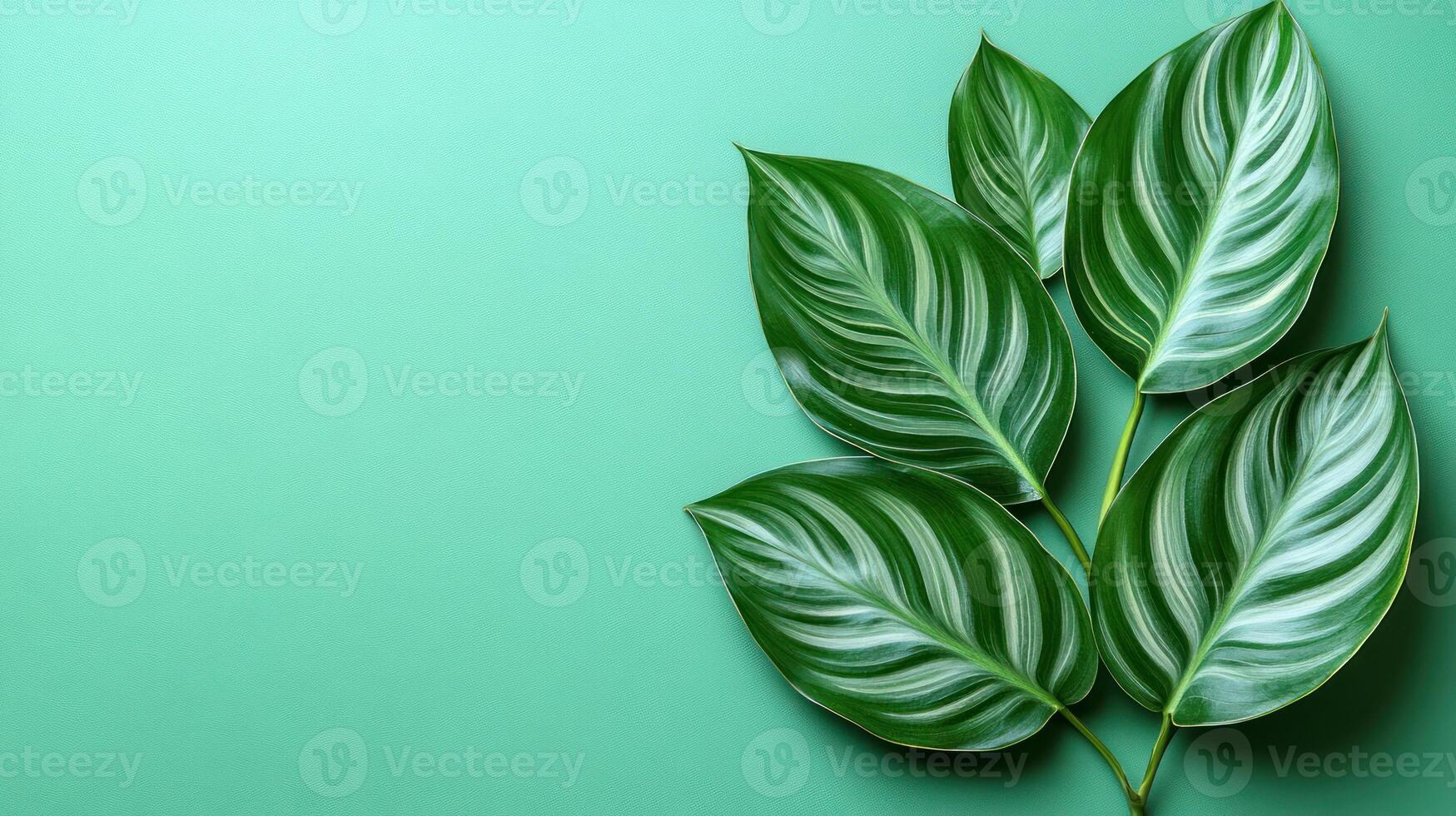 Lush, patterned leaves rest gracefully on a soothing turquoise surface photo