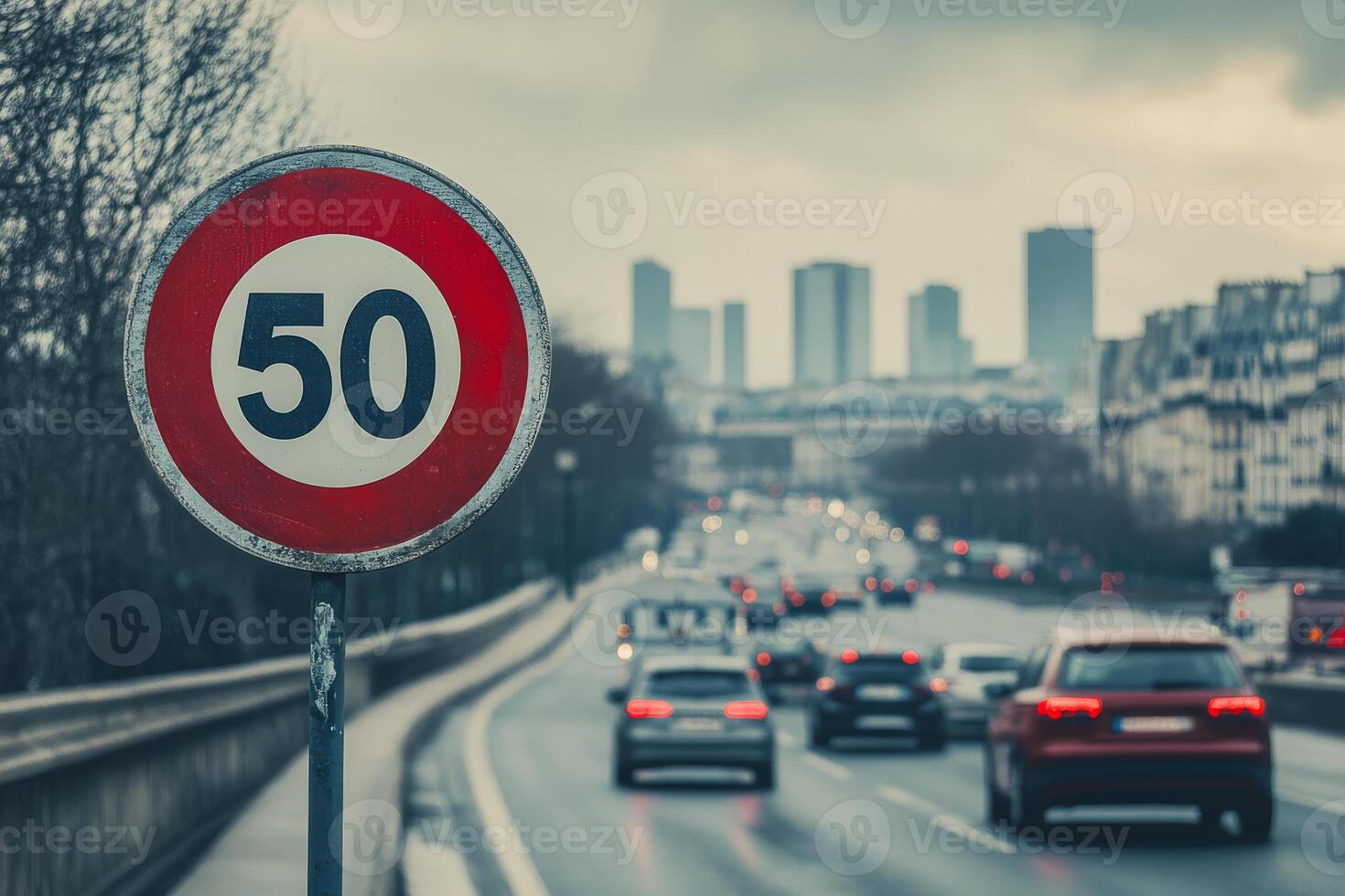 To reduce traffic congestion, enhance safety, and promote sustainable transport, Paris has set a new 50 kmh speed limit on the Beltway, aiming to improve urban mobility and lower pollution photo