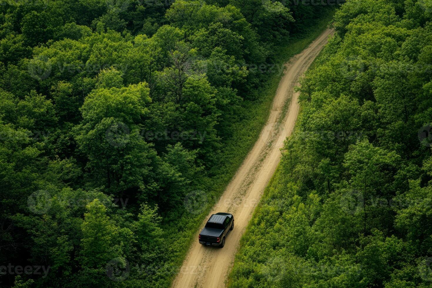 A black pickup truck maneuvers skillfully along a winding, bumpy dirt road, embraced by vibrant, lush greenery all around, culminating in a truly adventurous and picturesque scene before our eyes photo