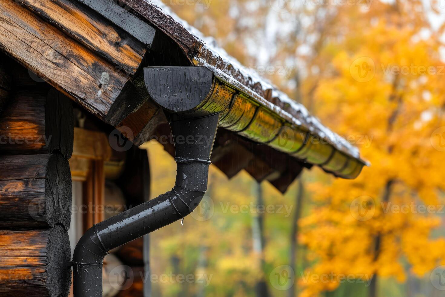 Here is an intricate and detailed view of a beautifully crafted, elegant gutter drainage system mounted on a rustic wooden cabin, with stunning autumn foliage abundantly present in the background photo