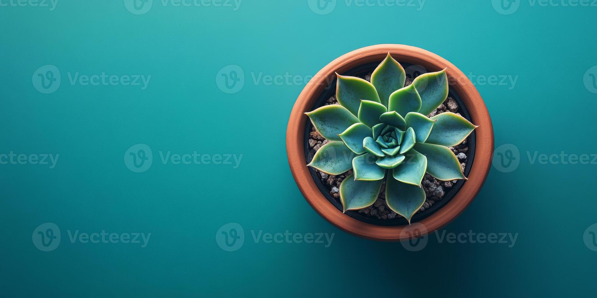 This stunning topdown view shows a blue echeveria succulent in a warm terracotta pot, highlighting its symmetrical leaf arrangement and vibrant colors, creating a lovely aesthetic photo