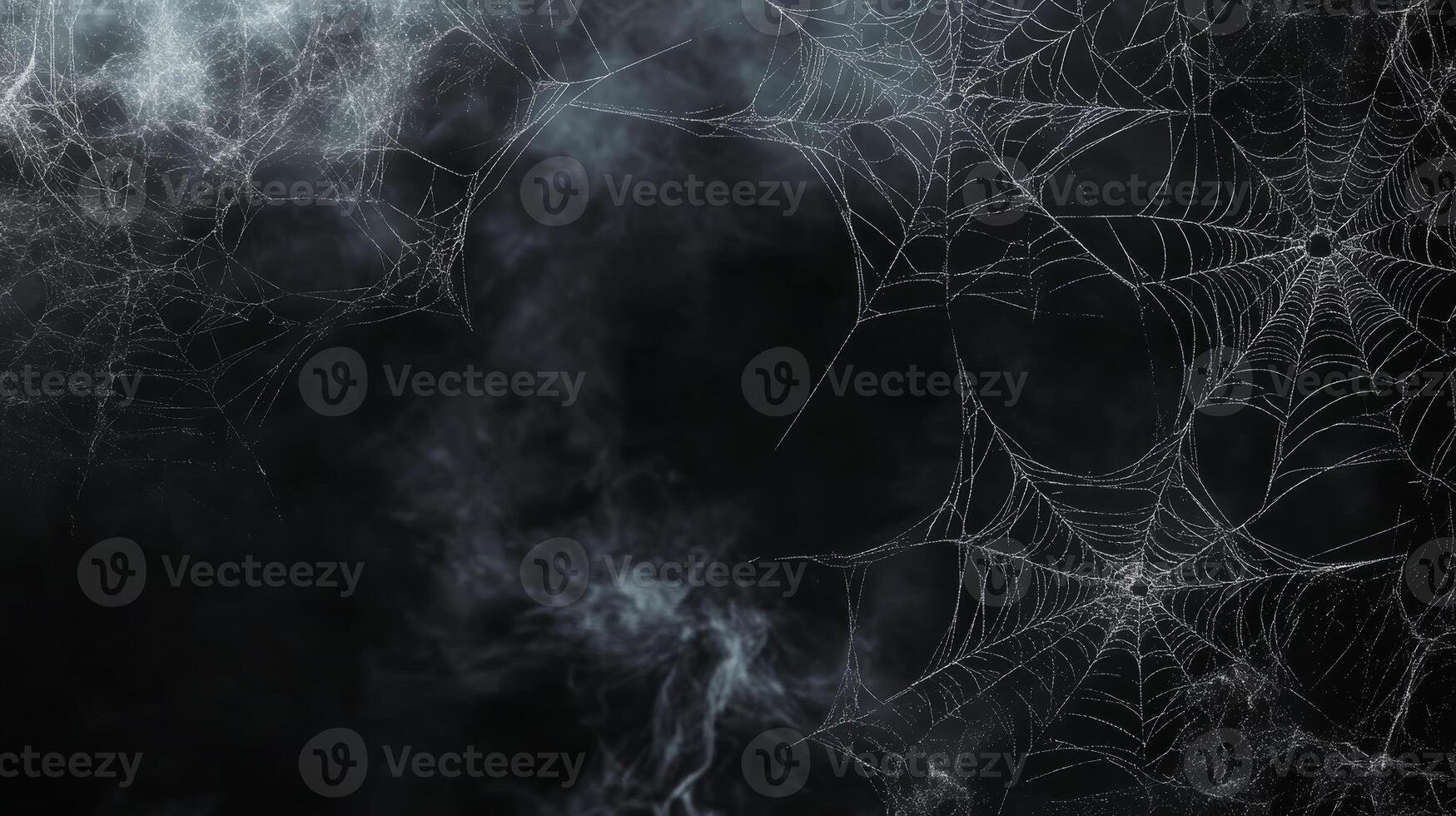 Dive into an enchanting and captivating abstract design that features intricate cobweb line art combined with a distinctive grunge texture, perfect for enhancing an eerie or artistic ambiance photo